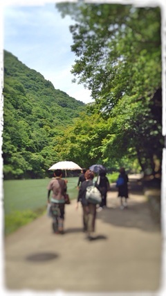 2016syorai