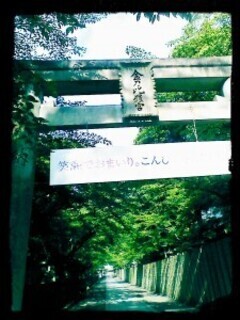 IMG_20130717_1550511