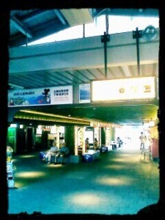 IMG_20130726_155505-225x300