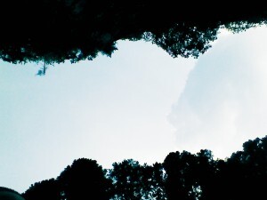 IMG_20130810_222846-300x225