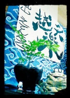 IMG_20130717_155609-216x300_コピー