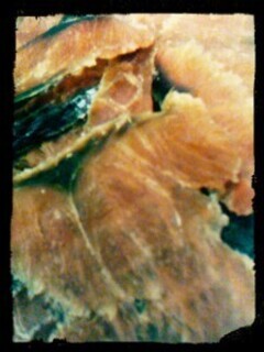 IMG_20130902_072334-225x300_コピー