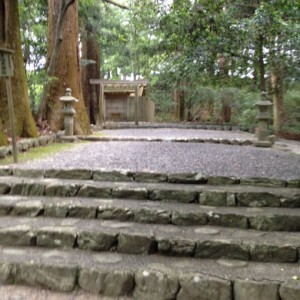 2015takihara-300x300