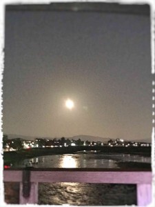IMG_1380-225x300