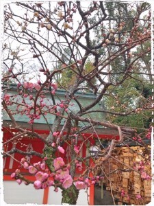 9F6911E3-ACAA-4D21-9997-25A28A85D938-225x300