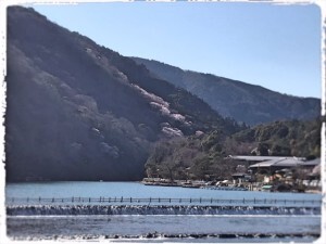 83FEC0F6-1475-4DA7-A5E0-16F14446875E-300x225