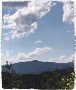 8B3DD0FB-8B69-4FD5-B3EC-20D41D066516-252x300