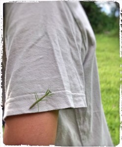 7DEE2235-69A4-4A53-B44C-4652C9A62DAD-248x300