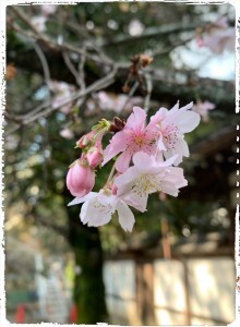 C5A780F1-5C83-407F-9A90-DE167395C234-220x300