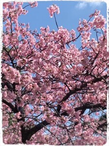 0F4782F8-4A9B-4F3C-9A8F-F70A71E99CB6-225x300