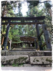 99D8D1F6-24A4-482E-A4DB-8D0C549D5342-225x300