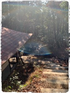 C474E645-F978-4EE4-99D2-D69255C4D332-225x300