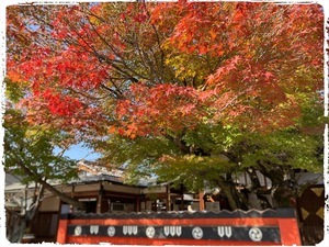 6DE3494C-8605-4A3A-8505-BE6B2DA711EE_コピー